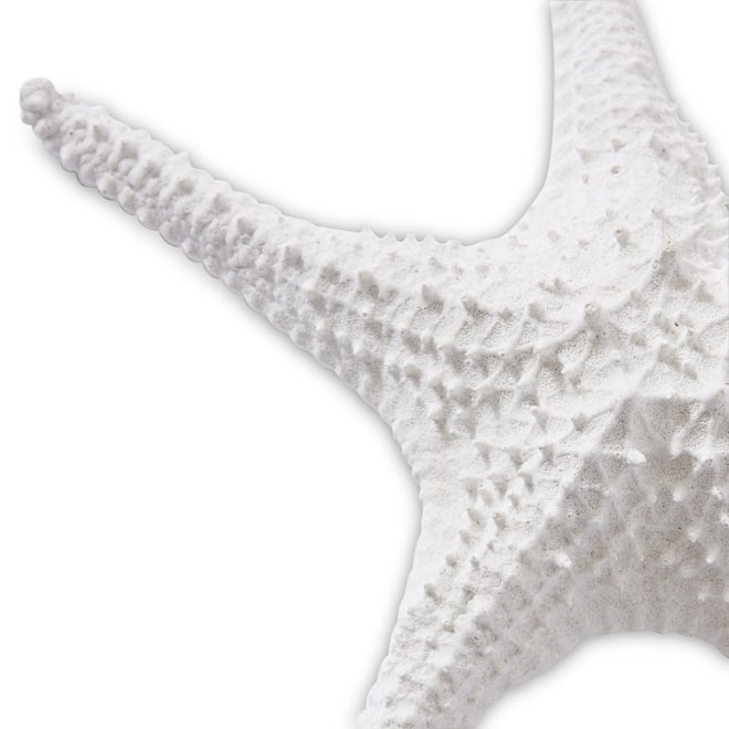 Starfish Bat Star - White, 7cm (H)