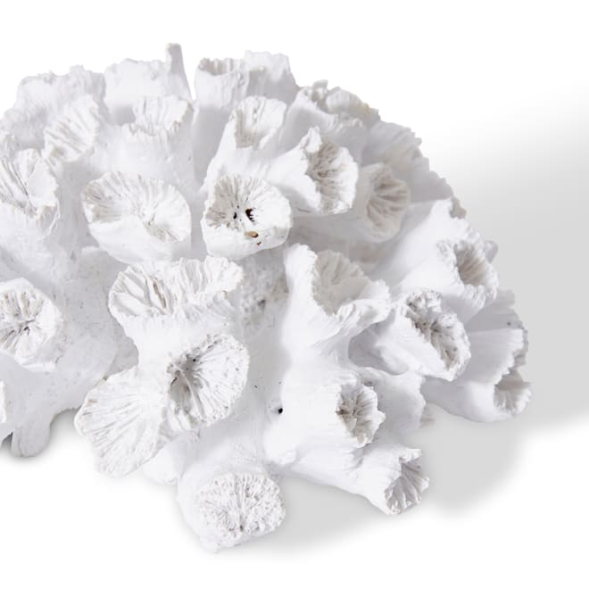 Coral Flower - White, 9cm (H)