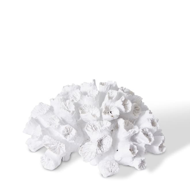 Coral Flower - White, 9cm (H)