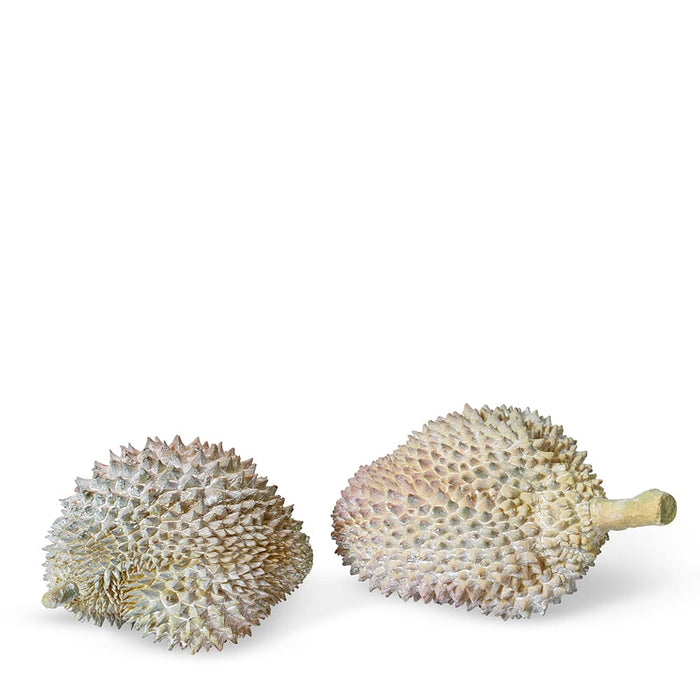 Durian Sculpture - Natural, 17cm (H)