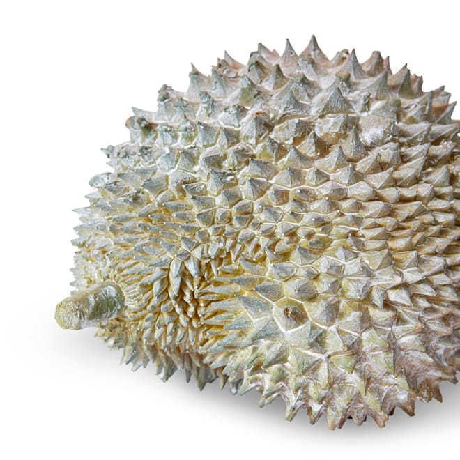 Durian Sculpture - Natural, 17cm (H)