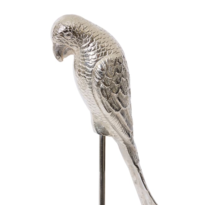 Parrot Sculpture - Nickel, 68cm (H)