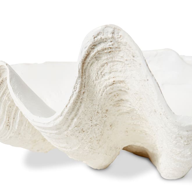 Clam Shell Sculpture - White, 27cm (H)