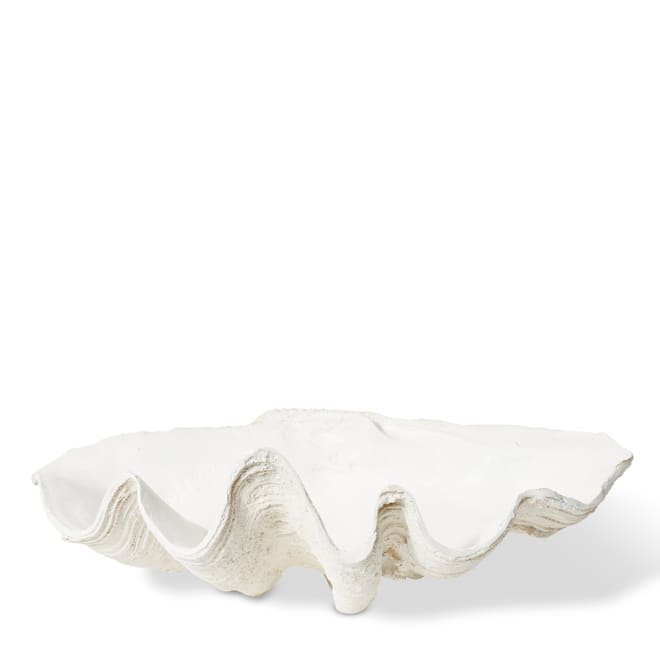 Clam Shell Sculpture - White, 27cm (H)
