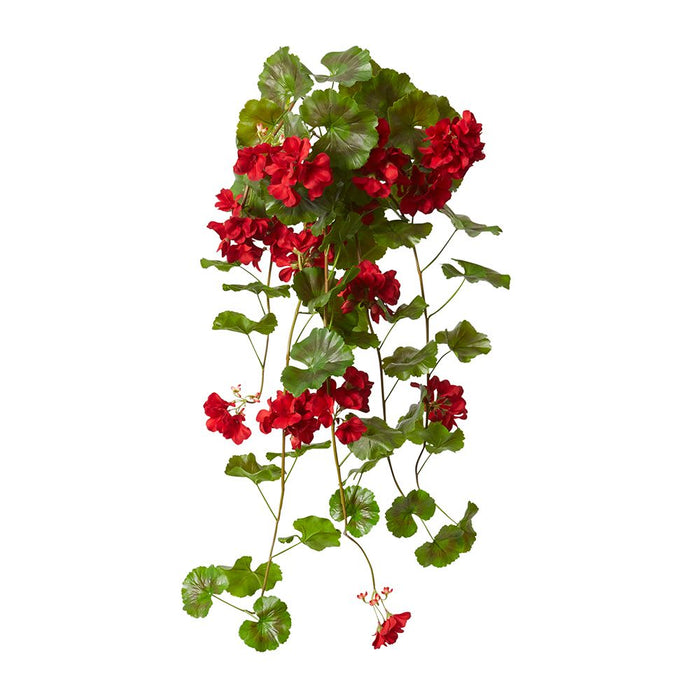 Geranium (Outdoor) Bush Pack of 6 - Red, 86cm (H)