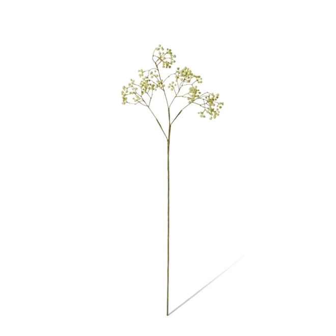 Seeding Berry Stem Pack Of 12 - Light Green, 63cm (H)