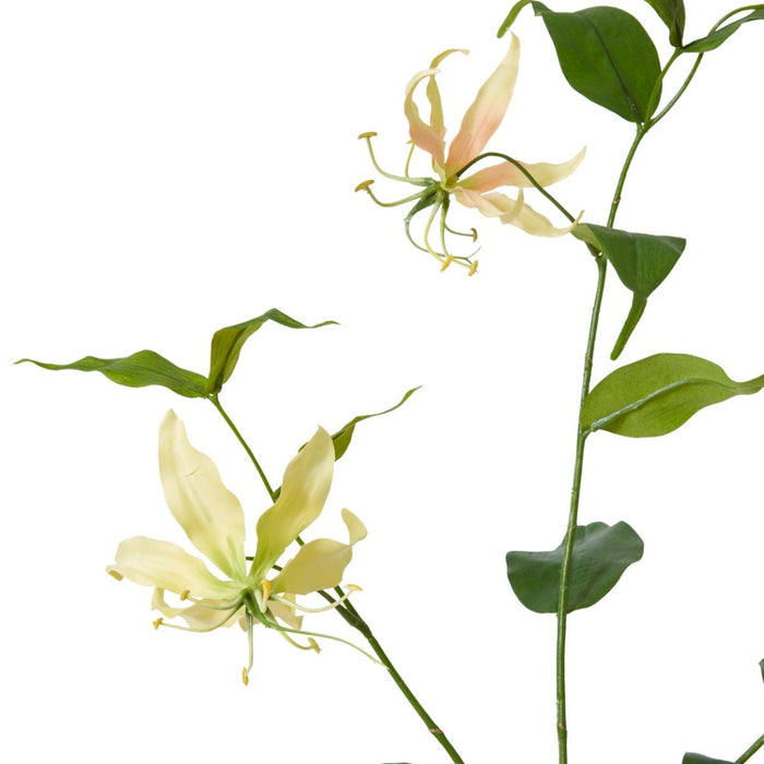 Gloriosa Spray Pack of 12 - Yellow Green, 90cm (H)