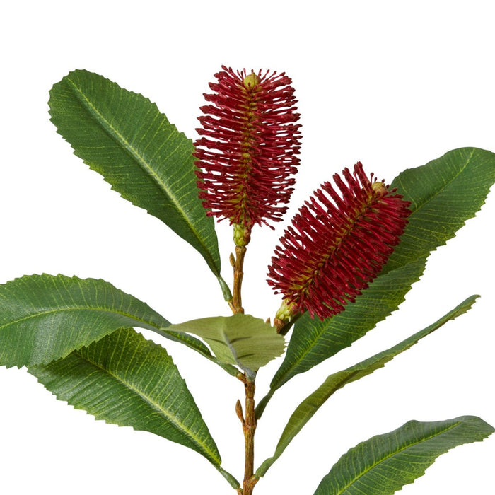 Banksia Spray Pack of 12 - Red, 76cm (H)