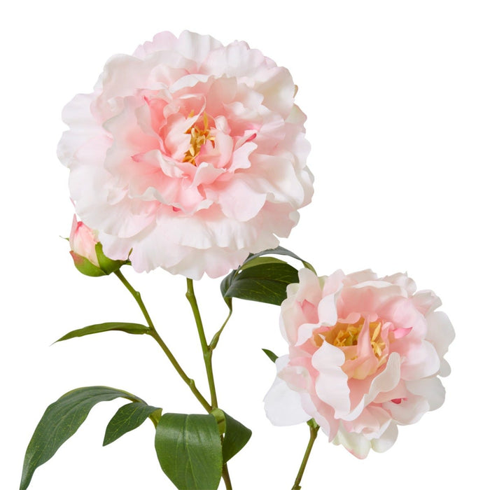 Peony Lillian Spray Pack of 12 - Soft Pink, 74cm (H)