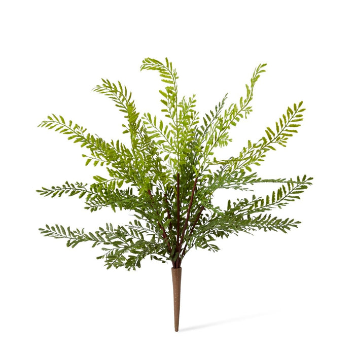 Fern Mother (Outdoor) Pack of 12 - Green, 43cm (H)
