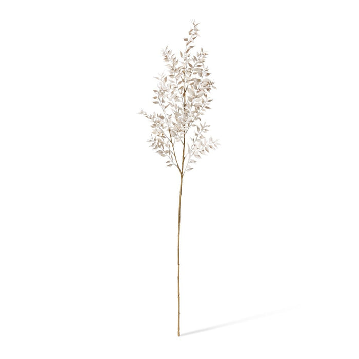 Ruscus Deco Spray Pack of 12 - White, 94cm (H)