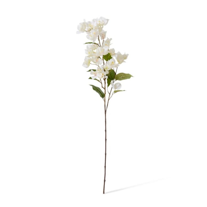 Bougainvillea Spray Pack Of 12 - White, 86cm (H)
