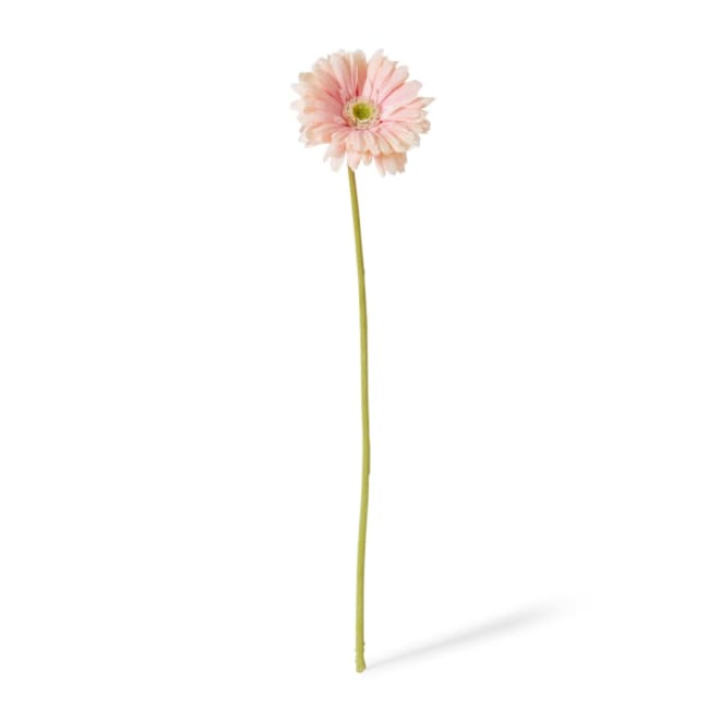 Gerbera Daisy Stem Pack Of 12 - Soft Pink, 53cm (H)