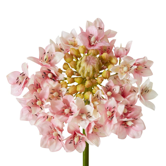 Star Flower Stem Pack of 12 - Pink, 76cm (H)