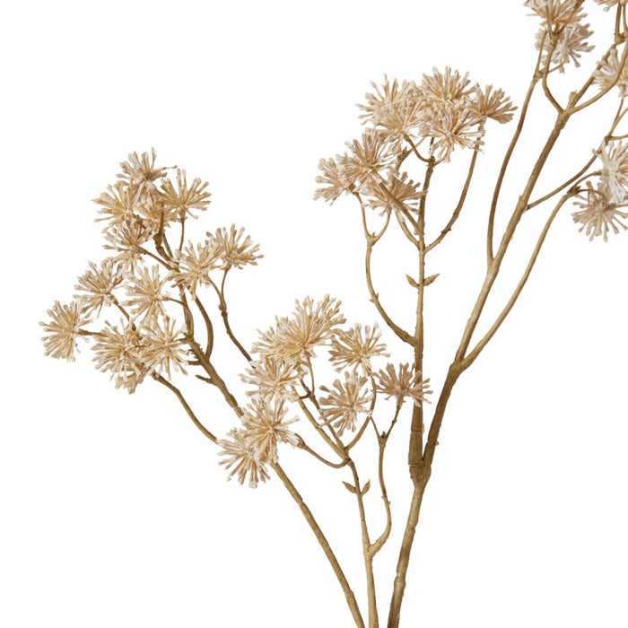 Aralia Deco Seed Spray Pack of 12 - Beige, 84cm (H)