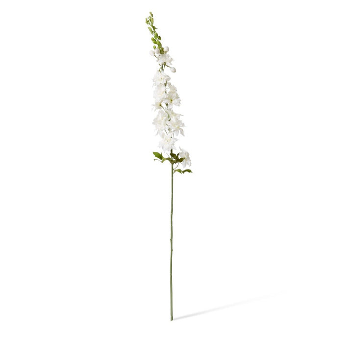 Delphinium Stem Pack of 12 - White, 99cm (H)