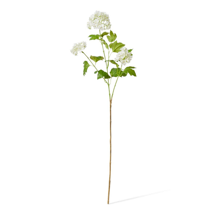 Snowball Spray Pack of 12 - White, 77cm (H)