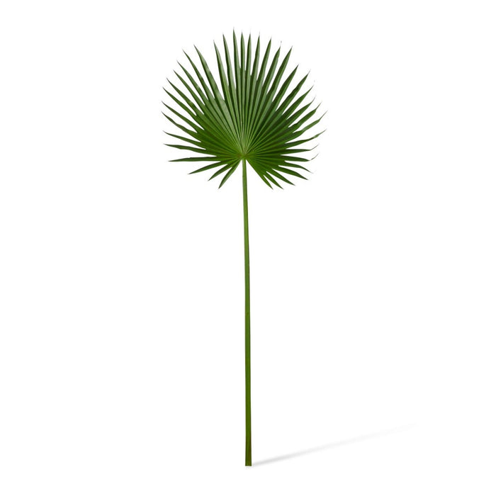 Palm Fan Leaf Pack of 6 - Green, 112cm (H)