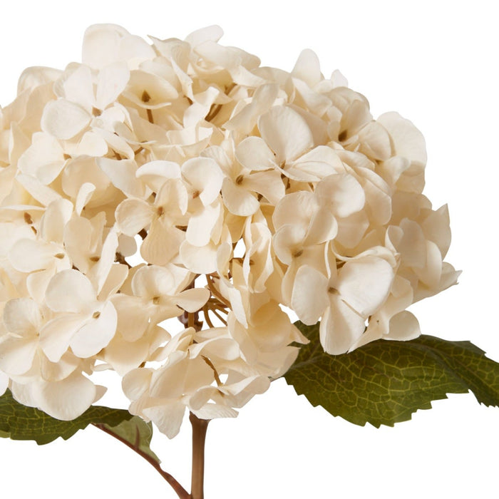 Hydrangea Decor Stem Pack of 12 - Ivory, 66cm (H)