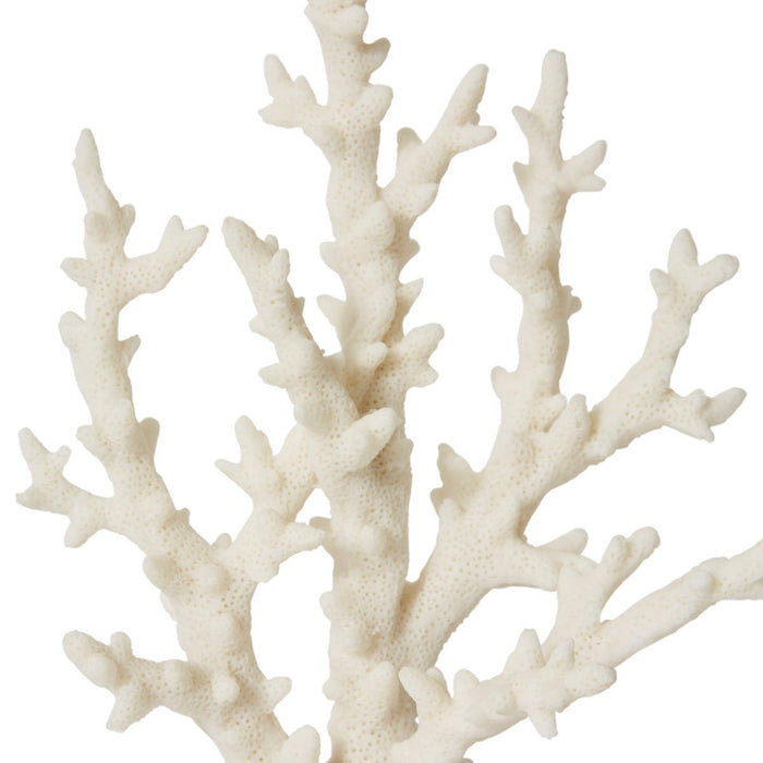 Coral Finger Sculpture - White, 27cm (H)