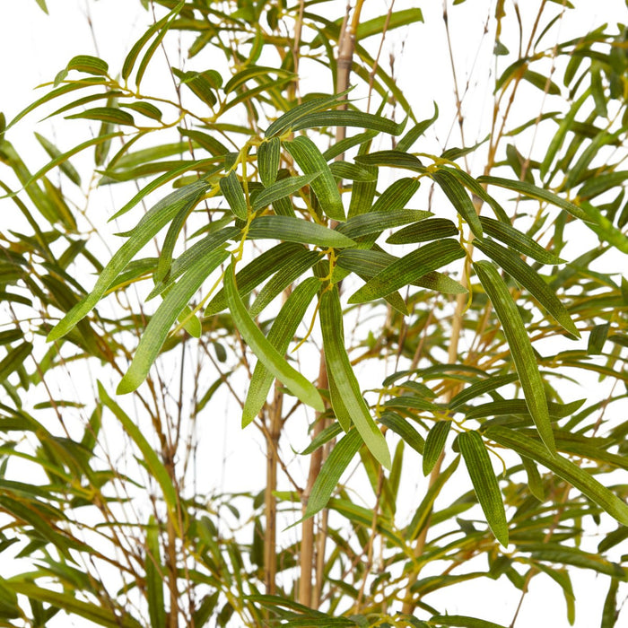 Bamboo Guadua Tree - Green, 210cm (H)