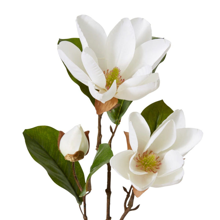 Magnolia River Spray Pack of 12 - White, 69cm (H)