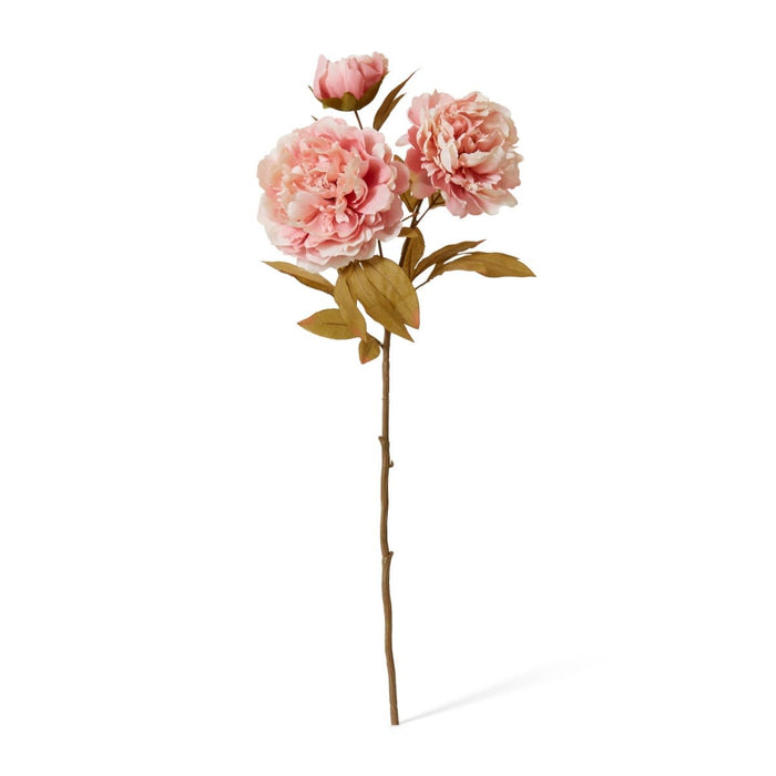 Peony Queen Decor Spray Pack of 12 - Dusty Pink, 76cm (H)