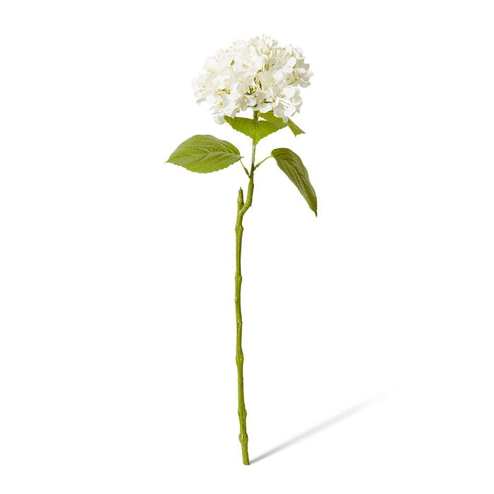 Hydrangea Bloom Stem Pack of 12 - Ivory, 60cm (H)