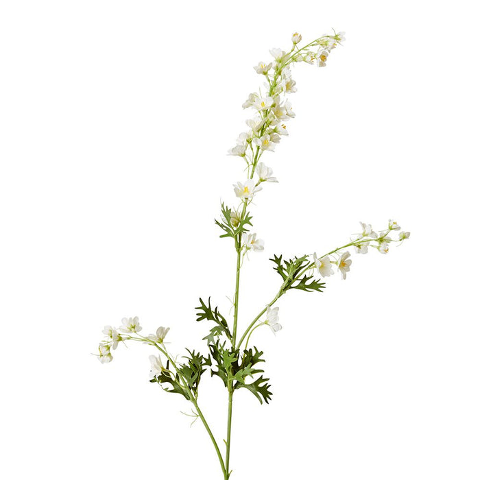 Delphinium Stem Pack of 12 - White, 86cm (H)