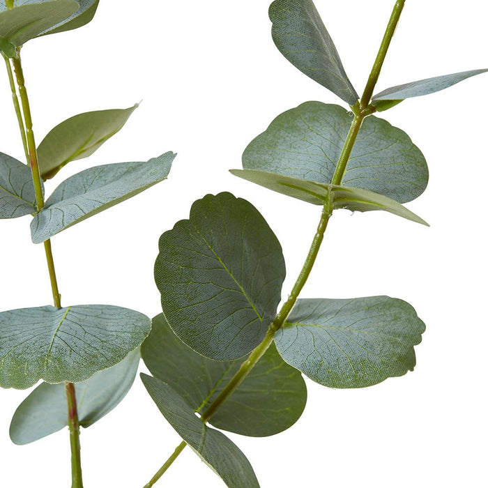 Eucalyptus Spray Pack of 6 - Grey Green, 86cm (H)