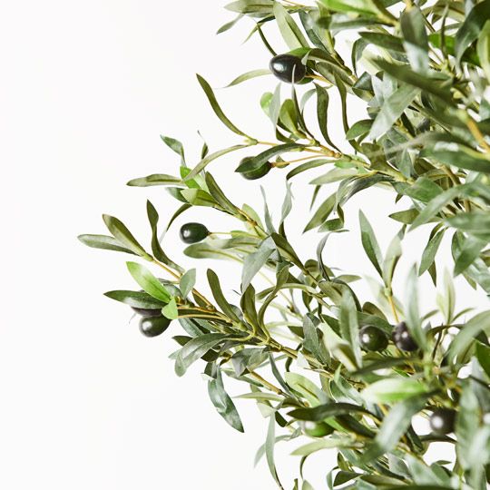 2 x Olive Tree, Green 200cmh (FI8662GR)