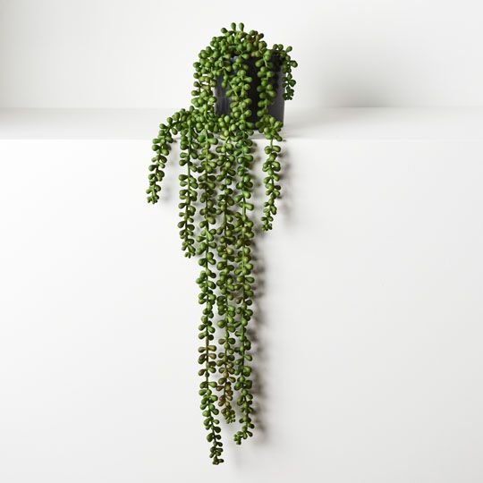 4 x String of Pearls in Pot, Green 70cml (FI8686GR)