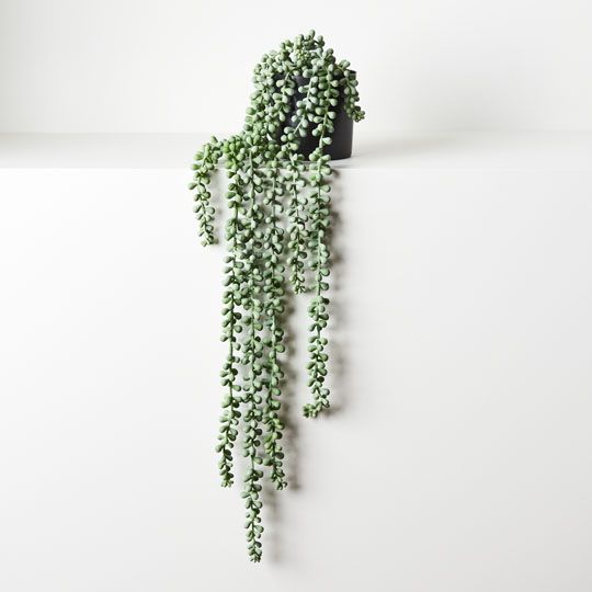 4 x String of Pearls in Pot, Grey Green 70cml (FI8686GY)