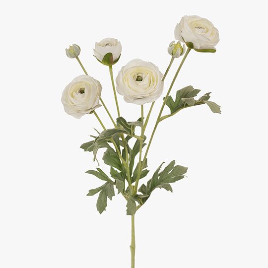 12 x Ranunculus Spray White 67cml (FI6837WH)