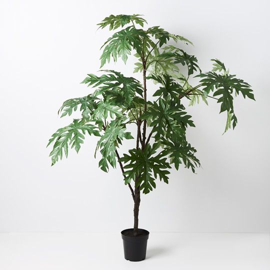 Papaya Leaf Plant, Green 132cmh (FI8777GR)