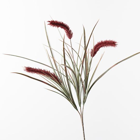 12 x Pampas Grass Spray Burgundy 71cml (FI8790BU)