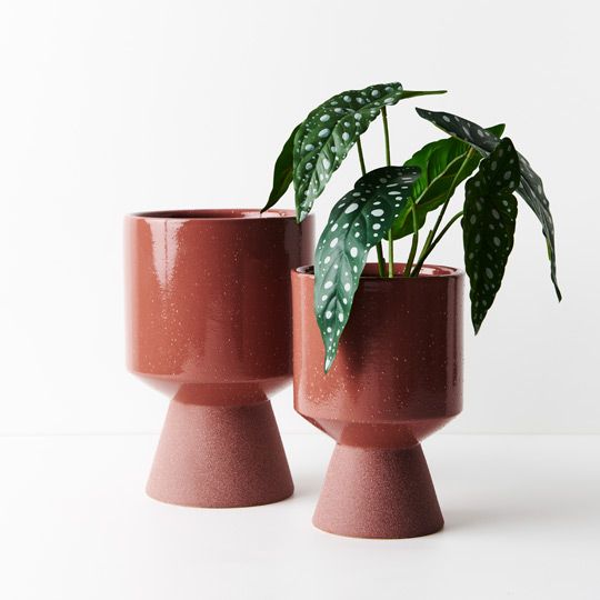 2 x Pot Palandro Rouge (FI8830ROU)