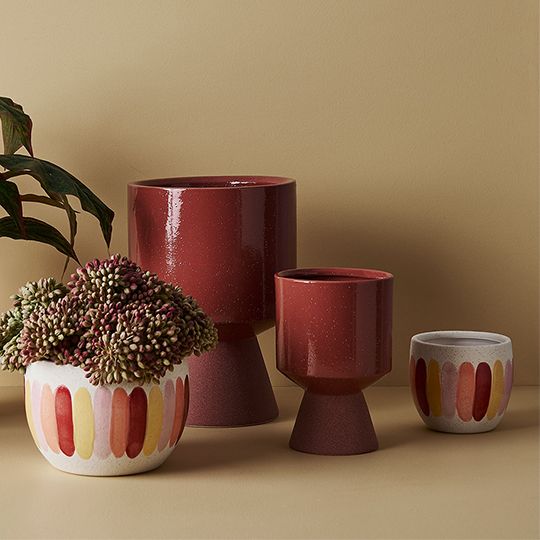 2 x Pot Palandro Rouge (FI8830ROU)