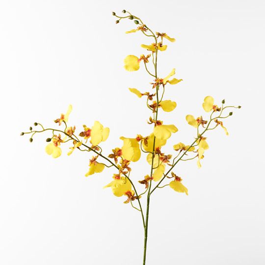 12 x Orchid Dancing Yellow 98cml (FI8884YE)