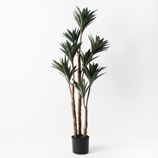 2 x Yucca Plant, Green 122cmh (FI8929GR)