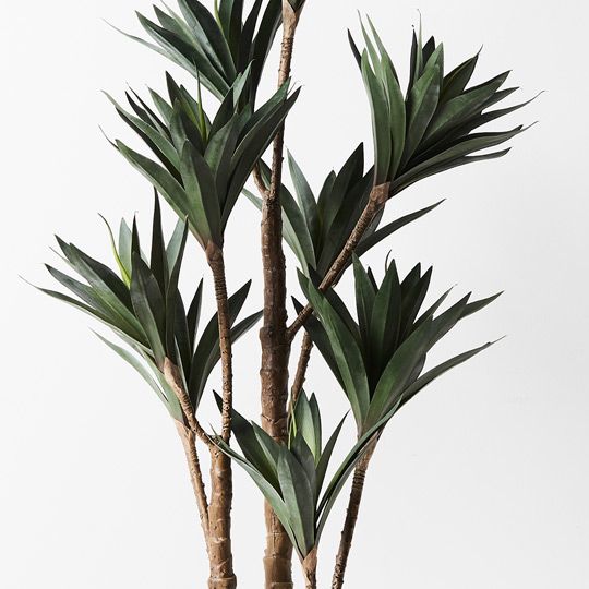 2 x Yucca Plant, Green 122cmh (FI8929GR)