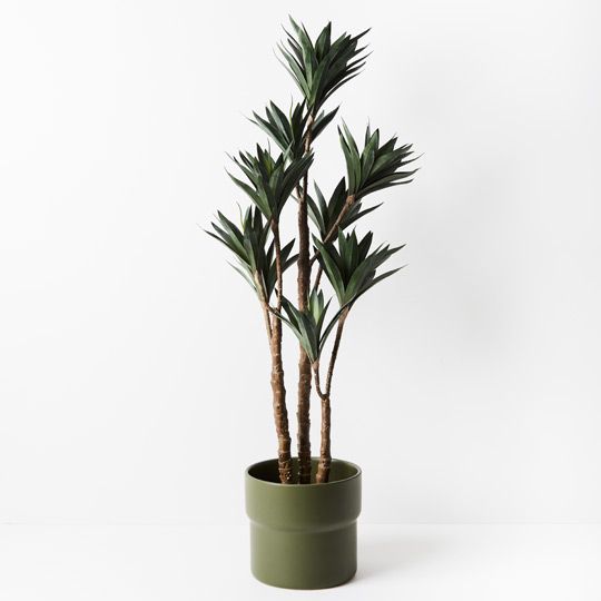 2 x Yucca Plant, Green 122cmh (FI8929GR)