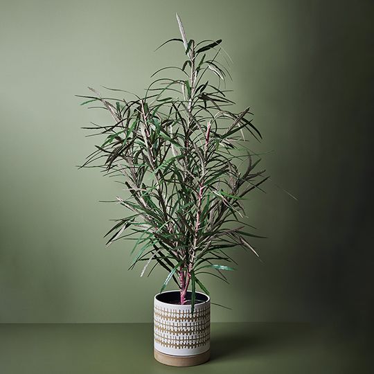 Banksia Leaf Plant, Green 135cmh (FI8970GR)