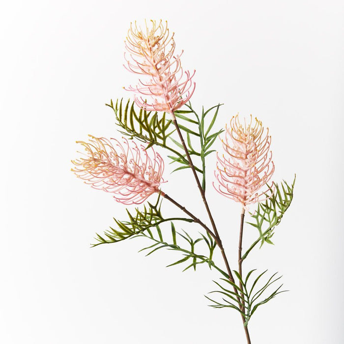 12 x Grevillea Spray Light Pink 84cml (FI8980LP)