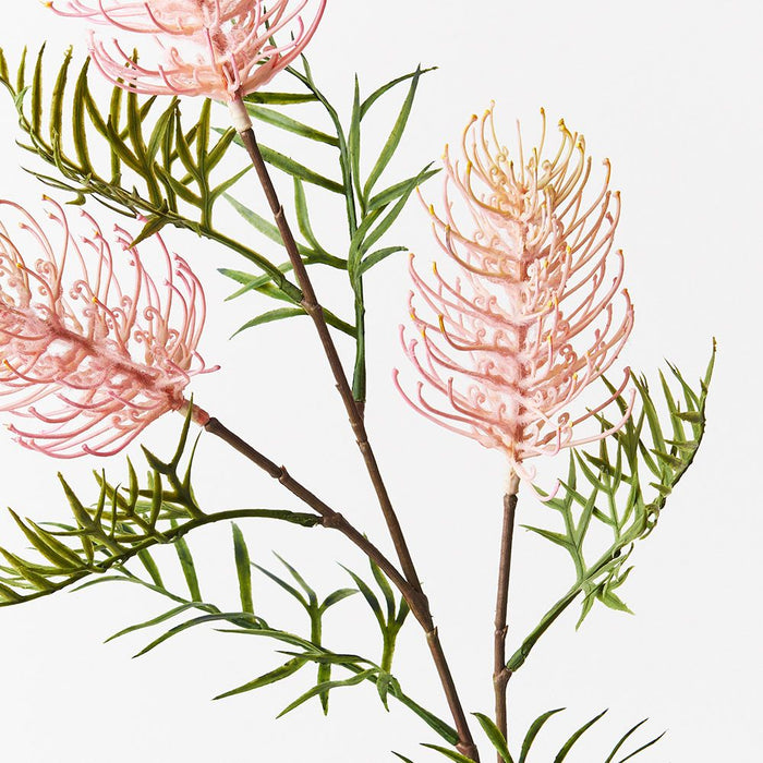 12 x Grevillea Spray Light Pink 84cml (FI8980LP)