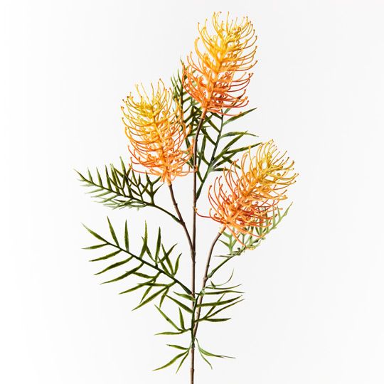 12 x Grevillea Spray Orange Yellow 84cml (FI8980OR)