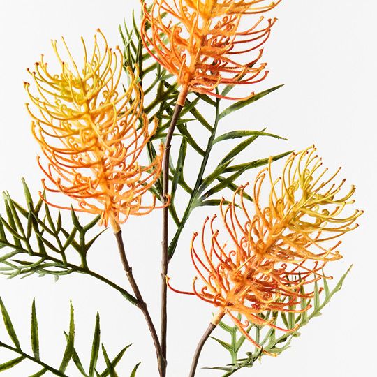 12 x Grevillea Spray Orange Yellow 84cml (FI8980OR)