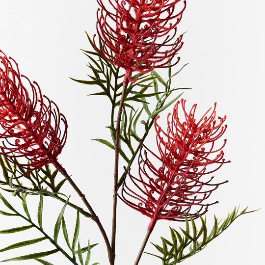 12 x Grevillea Spray Red 84cml (FI8980RD)