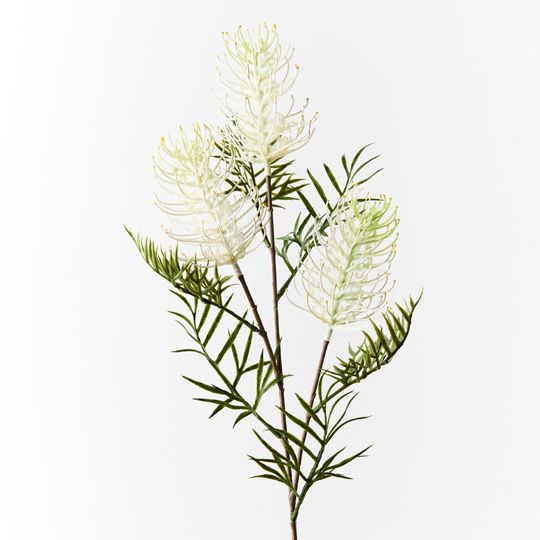 12 x Grevillea Spray White 84cml (FI8980WH)