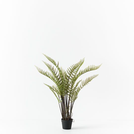 2 x Fern Mountain Plant, Green 117cmh (FI8999GR)